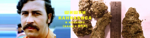 соль ск Абаза