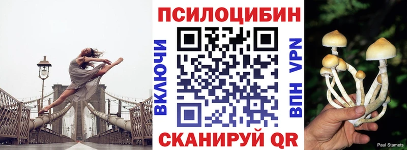 где продают   Горячеводский  Псилоцибиновые грибы ЛСД 